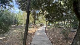 Complejo Hotelero en Piriápolis (Las Flores) Ref. 5787