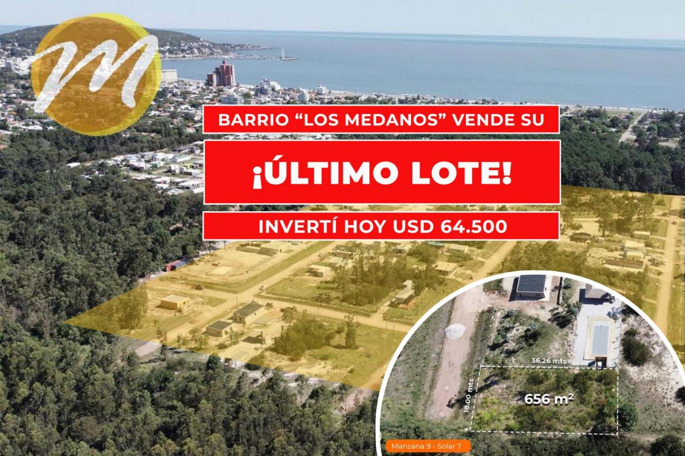 CONOCE AQUÍ EL ÚLTIMO LOTE