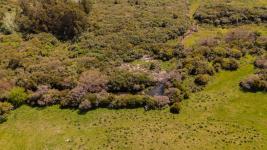 Fracción de campo (Estación Las Flores) Ref. 6684