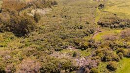 Fracción de campo (Estación Las Flores) Ref. 6684