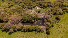 Fracción de campo (Estación Las Flores) Ref. 6684