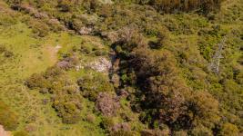 Fracción de campo (Estación Las Flores) Ref. 6684