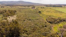 Fracción de campo (Estación Las Flores) Ref. 6684