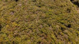 Fracción de campo (Estación Las Flores) Ref. 6684