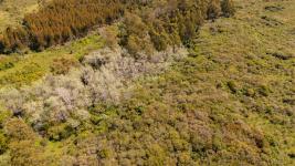 Fracción de campo (Estación Las Flores) Ref. 6684