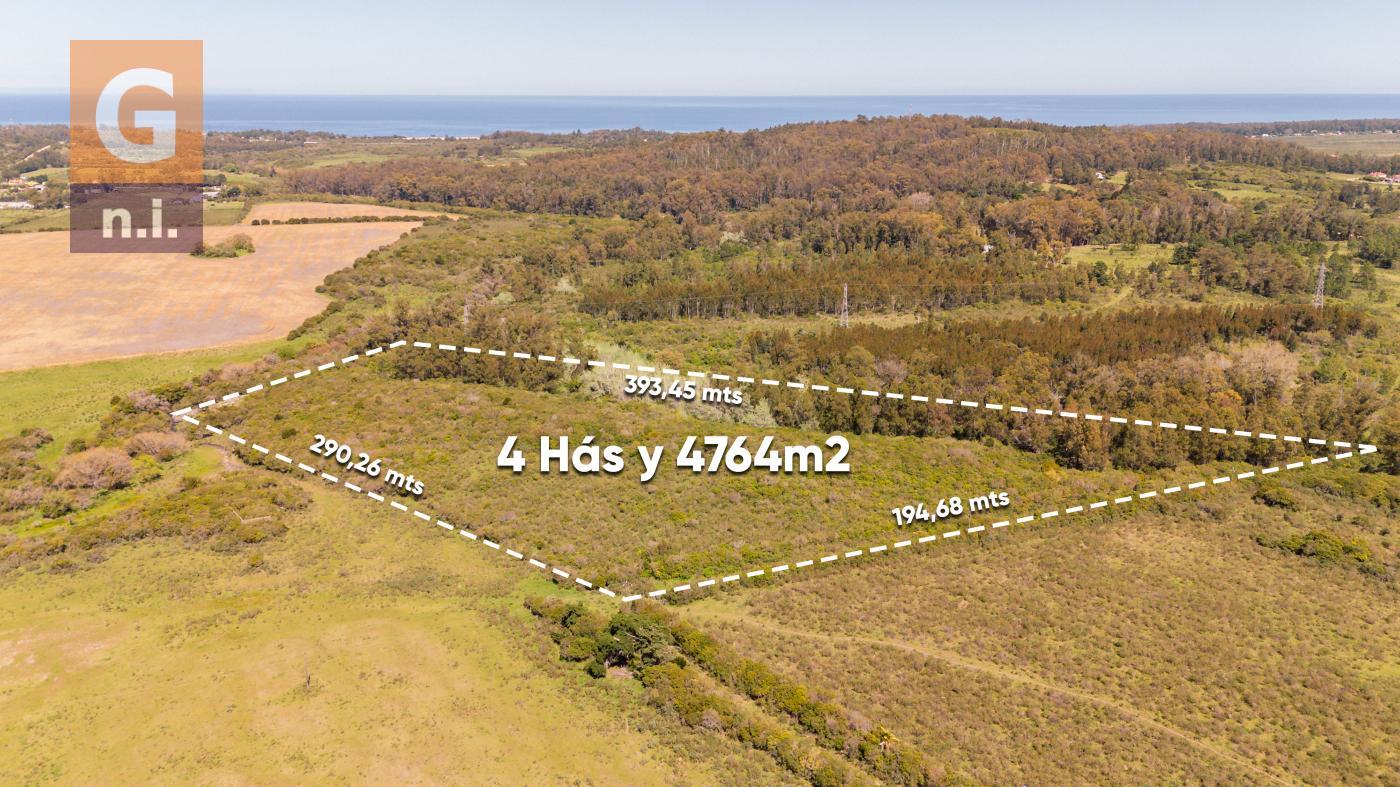 Fracción de campo (Estación Las Flores) Ref. 6684