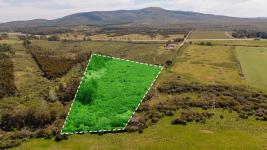 Fracción de campo (Estación Las Flores) Ref. 6684