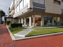 Locales y Negocios en Punta del Este (Península)