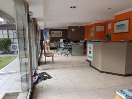 Locales y Negocios en Punta del Este (Península)