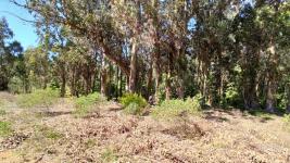Terreno en Maldonado (Parque Burnet) Ref. 4285