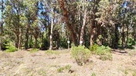 Terreno en Maldonado (Parque Burnet) Ref. 4285