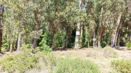 Terreno en Maldonado (Parque Burnet) Ref. 4285
