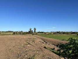 Terreno en Pan de Azúcar (Pan de Azúcar Ciudad). REF 5214