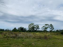 Terreno en Piriápolis (Barra de Portezuelo) - Ref. 2083