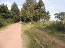 Terreno en Piriápolis (Barra de Portezuelo) - Ref. 2646