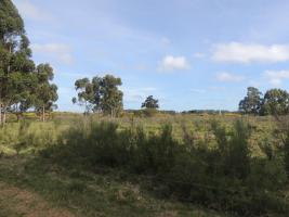 Terreno en Piriápolis (Barra de Portezuelo) - Ref. 2646
