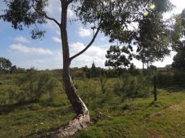Terreno en Piriápolis (Barra de Portezuelo) - Ref. 2646