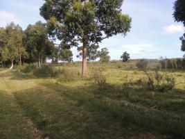 Terreno en Piriápolis (Barra de Portezuelo) - Ref. 2647