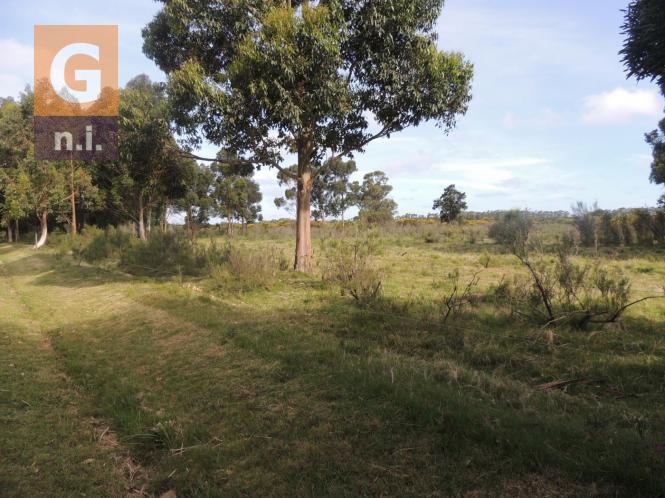 Terreno en Piriápolis (Barra de Portezuelo) - Ref. 2647