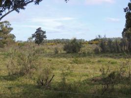 Terreno en Piriápolis (Barra de Portezuelo) - Ref. 2647