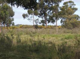 Terreno en Piriápolis (Barra de Portezuelo) - Ref. 2647