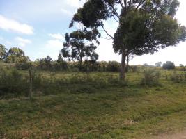 Terreno en Piriápolis (Barra de Portezuelo) - Ref. 2647