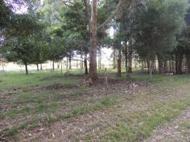 Terreno en Piriápolis (Barra de Portezuelo) - Ref. 2651