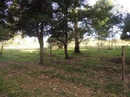 Terreno en Piriápolis (Barra de Portezuelo) - Ref. 2651