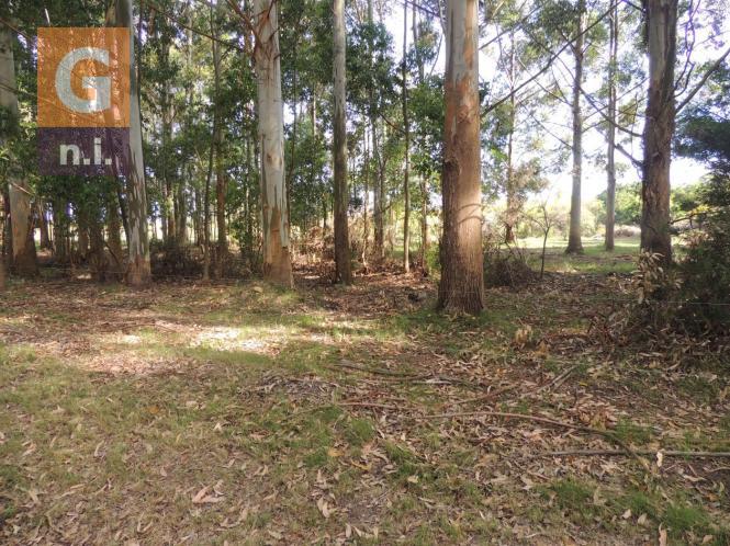 Terreno en Piriápolis (Barra de Portezuelo) - Ref. 2653