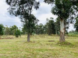 Terreno en Piriápolis (Barra de Portezuelo) -  Ref. 2734