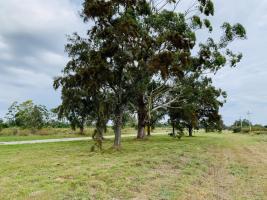 Terreno en Piriápolis (Barra de Portezuelo) - Ref. 2736
