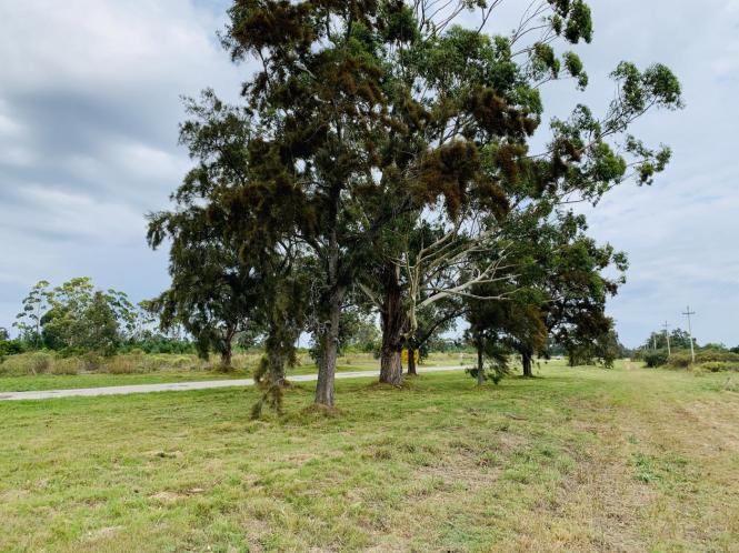Terreno en Piriápolis (Barra de Portezuelo) - Ref. 2736