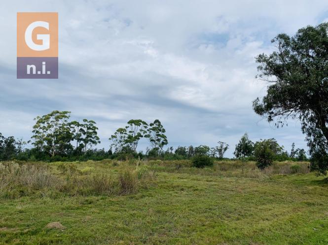 Terreno en Piriápolis (Barra de Portezuelo) - Ref. 2738
