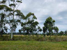 Terreno en Piriápolis (Barra de Portezuelo) -  Ref. 2739