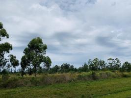 Terreno en Piriápolis (Barra de Portezuelo) -  Ref. 2739