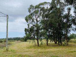 Terreno en Piriápolis (Barra de Portezuelo) - Ref. 2740