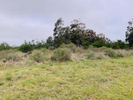 Terreno en Piriápolis (Barra de Portezuelo) - Ref. 4067