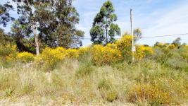 Terreno en Piriápolis (Barra de Portezuelo) - Ref. 4454