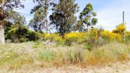 Terreno en Piriápolis (Barra de Portezuelo) - Ref. 4454