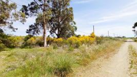 Terreno en Piriápolis (Barra de Portezuelo) - Ref. 4454
