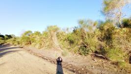 Terreno en Piriápolis (Barra de Portezuelo) - Ref. 4507