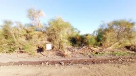 Terreno en Piriápolis (Barra de Portezuelo) -  Ref. 4508