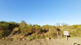 Terreno en Piriápolis (Barra de Portezuelo) -  Ref. 4508