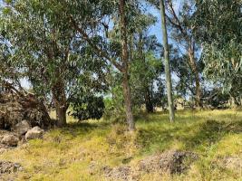 Terreno en Piriápolis (Barra de Portezuelo) - Ref.2081