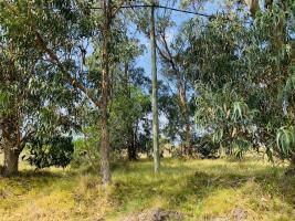Terreno en Piriápolis (Barra de Portezuelo) - Ref.2081