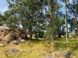 Terreno en Piriápolis (Barra de Portezuelo) - Ref.2081