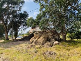 Terreno en Piriápolis (Barra de Portezuelo) - Ref.2081