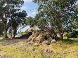 Terreno en Piriápolis (Barra de Portezuelo) - Ref.2081