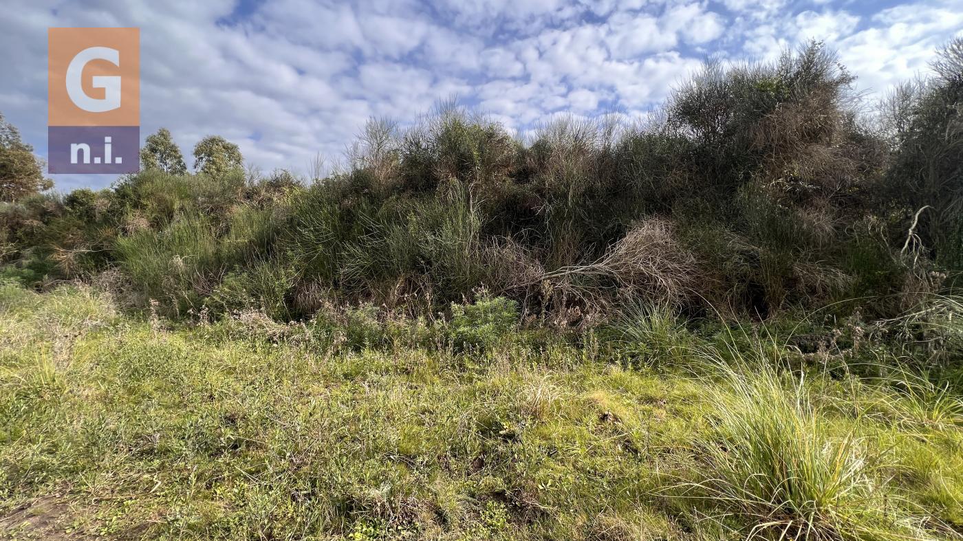 Terreno en Piriápolis (Barra de Portezuelo) Ref. 6032