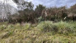 Terreno en Piriápolis (Barra de Portezuelo) Ref. 6035